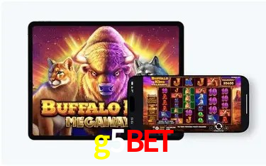 Design Responsivo g5bet